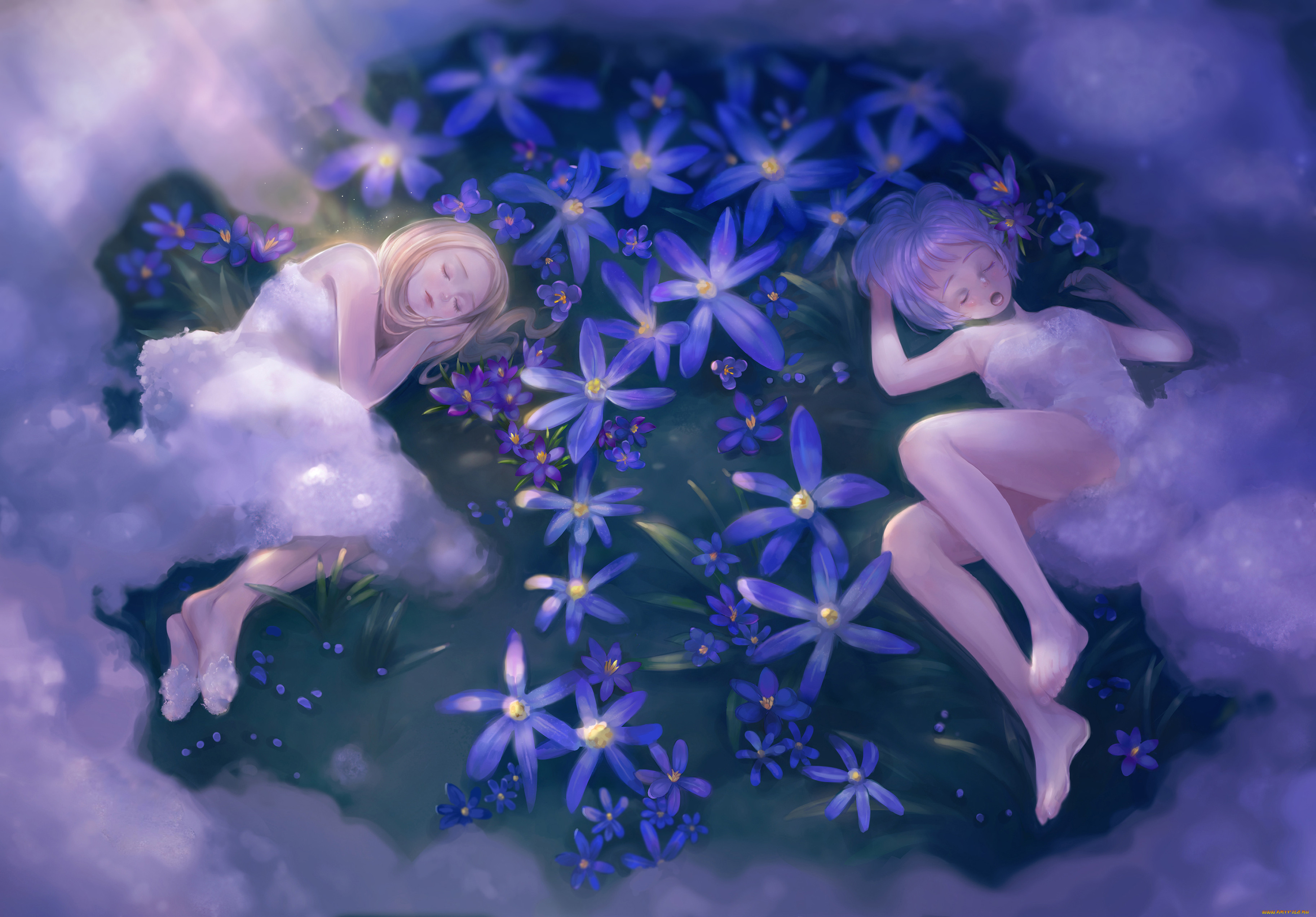 , unknown,  , , 